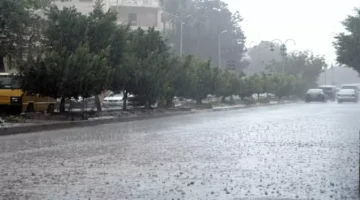 تحذير لسبع محافظات.. موعد هطول الأمطار وموجة الشبورة الكثيفة خلال ساعات المتوقعة